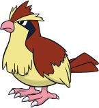 Pidgey