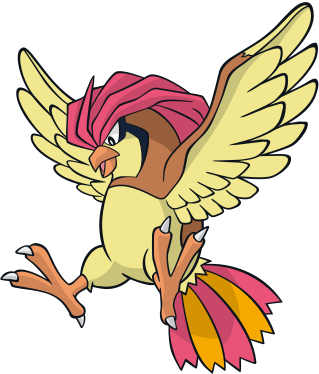 Pidgeotto