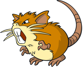 Raticate