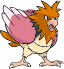 Spearow