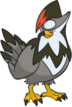 Staraptor