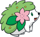 Shaymin