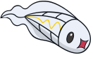 Tynamo